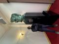 Collins Next to a Bust of Abraham Lincoln
