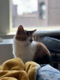 Peebs <3