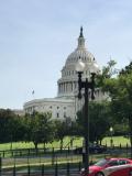 The Capital as seen from the House side